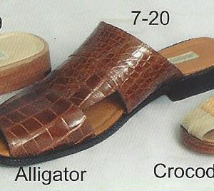 7-20 alligator