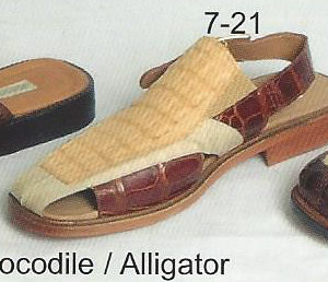 7-21 - crocodile -  alligator