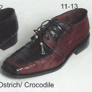 11-13 - ostrich - crocodile