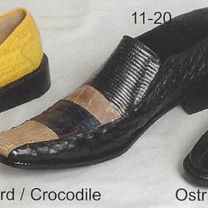 11-20 lizard - crocodile