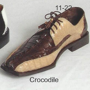 11-22 crocodile