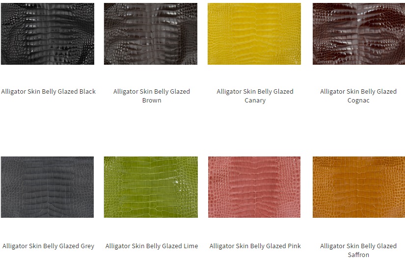 alligatorbellyglazedcolors