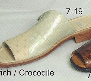 7-19 ostrich - crocodile