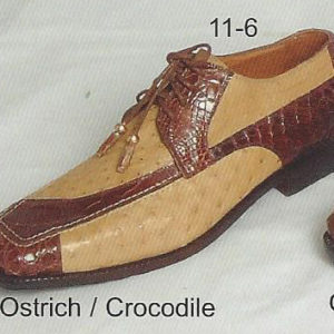 11-6 - ostrich-crocodile