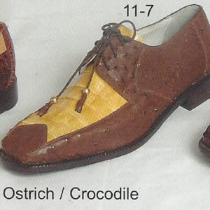 11-7 - ostrich-crocodile